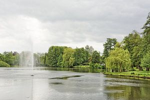 Une journée grise de début d'été dans le parc de Munster