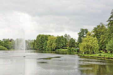 Een grijze vroege zomerdag in het park van Munster van Gisela Scheffbuch