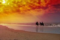 Paardrijden op het strand met ondergaande zon