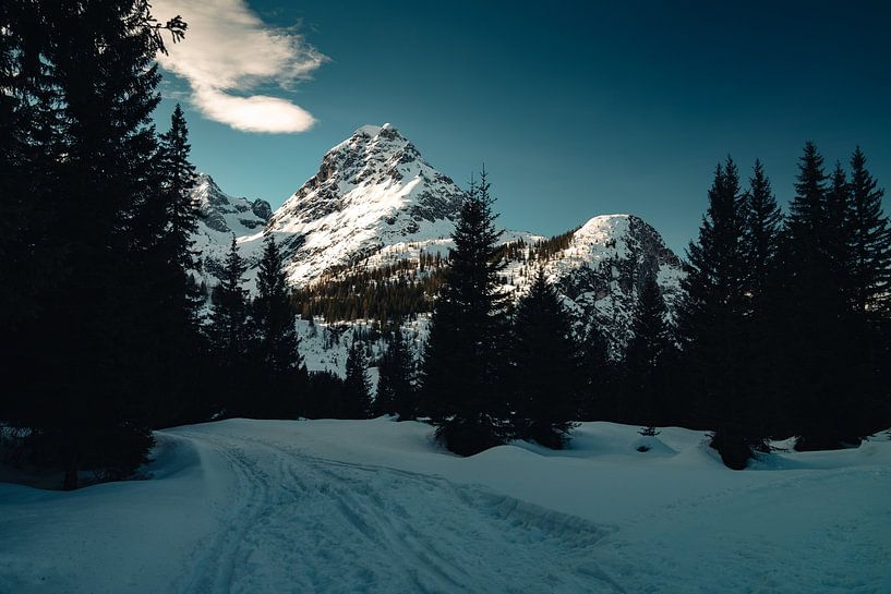 Winterwandern in Tirol von Joris Machholz