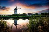 Damme