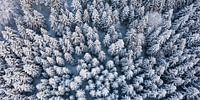 Luchtfoto Zwarte Woud in de winter van Werner Dieterich thumbnail