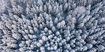 Aerial view Black Forest in winter
