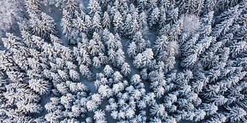 Luchtfoto Zwarte Woud in de winter van Werner Dieterich