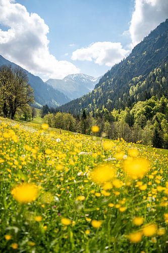 Mooie Gerstruben op het Trettachtal in de lente met prachtige bloemen