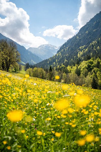 Wunderschöne Gerstruben am Trettachtal im Frühling mit schönen Blumen von Leo Schindzielorz