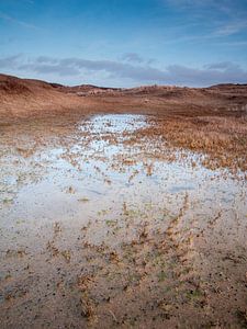Duinplas