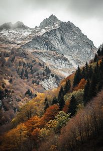 Herbstlandschaft