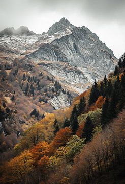 Paysage d'automne
