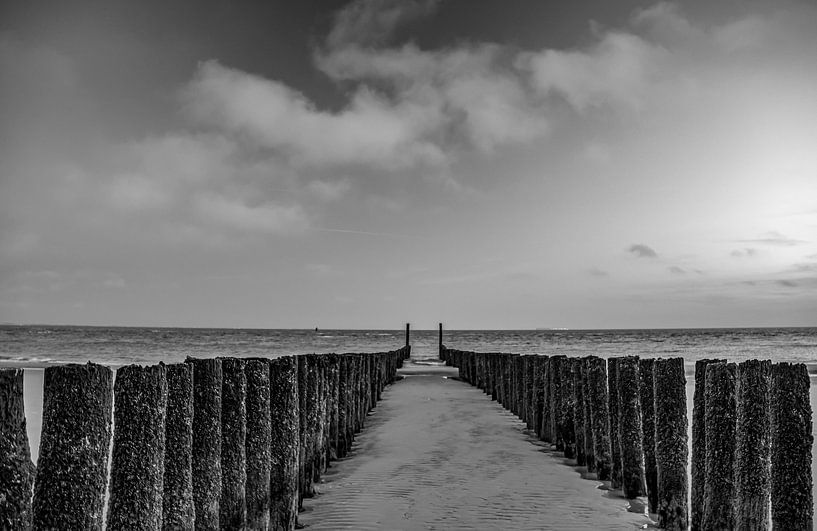 coast black and white by natascha verbij