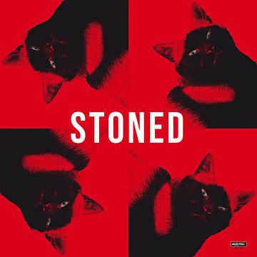 Stoned Cat Billie sur Harry Schmeits