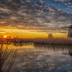 Molens bij Schermerhorn von Jan Siebring