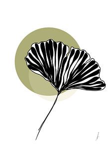 Feuille de Ginkgo Biloba