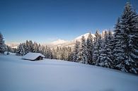 Winterlandschaft in den Bergen von Coen Weesjes Miniaturansicht