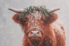 Highlander dans une couronne de Noël Salutations hivernales chaleureuses dans la neige