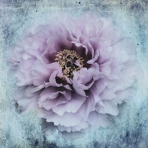 La saison que j'aime sur Stefan Eisele