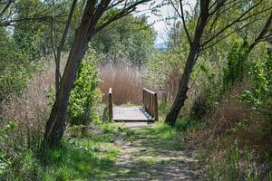 eine kleine brücke in spanien im frühling