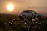 Auto im Sonnenaufgang
