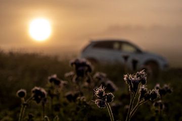 Car in sunrise van Stefan Heesch