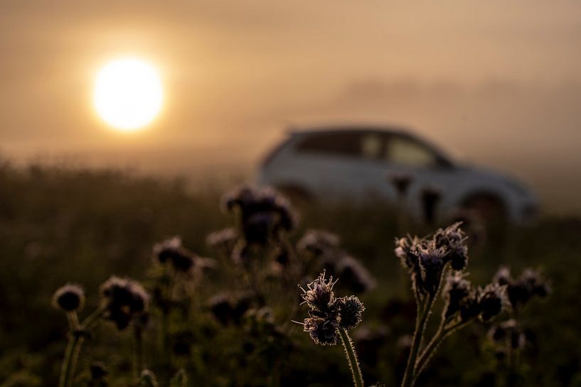 Auto im Sonnenaufgang von Stefan Heesch