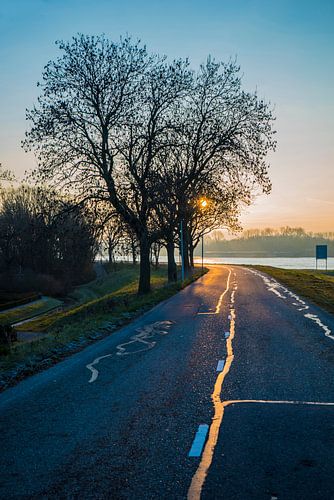 Sun shines on wet road