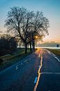 Le soleil brille sur la route mouillée par Fred Leeflang Aperçu