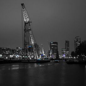 Crane At Night sur Erik Bravenboer