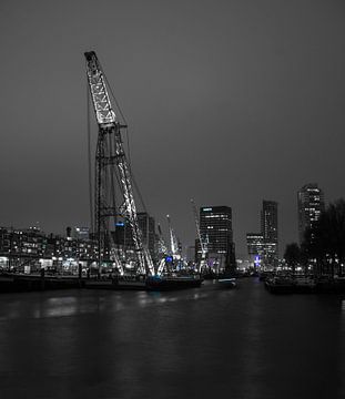 Crane At Night van Erik Bravenboer