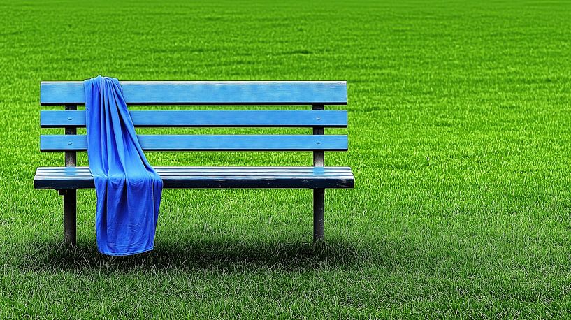 Blaue Bank auf grünem Rasen von Frank Heinz