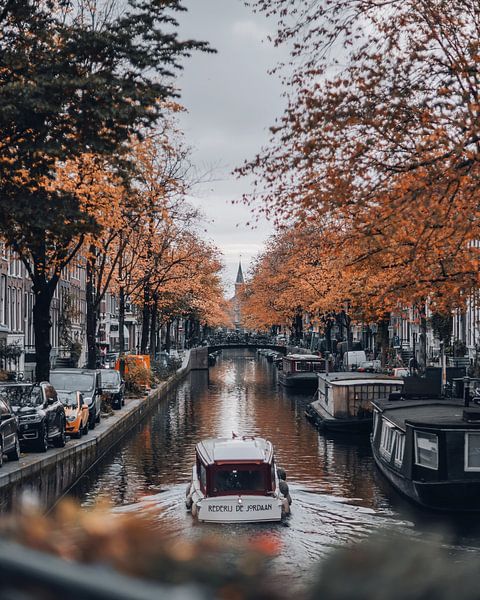 Fading Away by Een Wasbeer