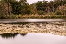 Autumn Harmony: The Magic of Nature in 't Sohr by Nicole Schmidt