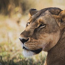 La reine du Serengeti sur Bart Hendriks