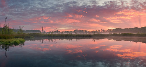 A panoramic view of the small fen near Appèlbergen in the province of Groningen