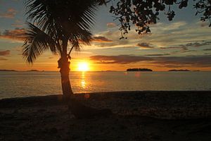 Coucher de soleil typique avec palmier sur l'île de Fidji