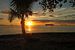 Typische zonsondergang met palmboom op Fiji eiland van Chris Snoek