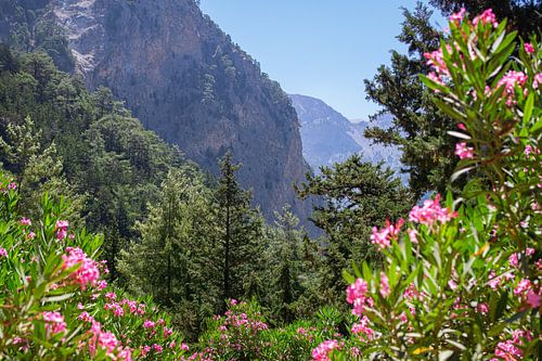 Samaria Gorge