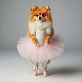 Süßer Pomeranian-Hund im Ballettanzug von Costas Ganasos
