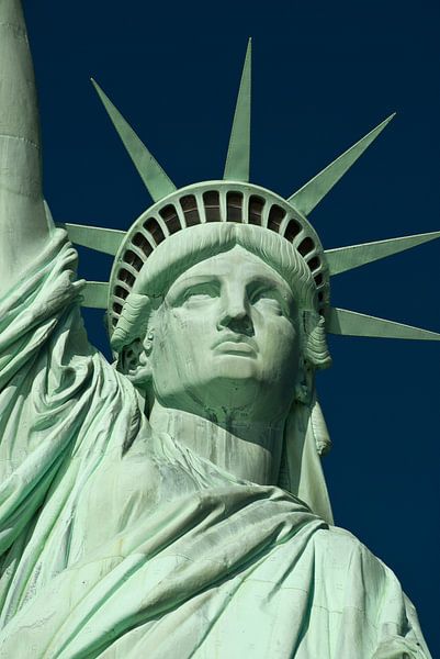 Statue of Liberty van bert van wijk