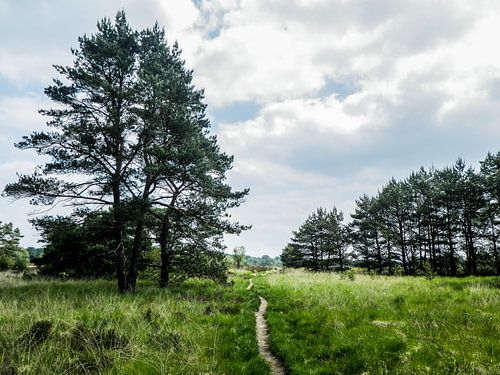 Ginkelse Heidelandschaft, Ede