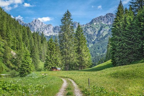 Zomer in Tannheimer Tal