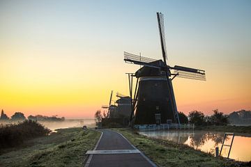 Daar komt de zon van Celine