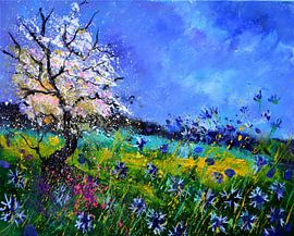 Spring 5485 by pol ledent