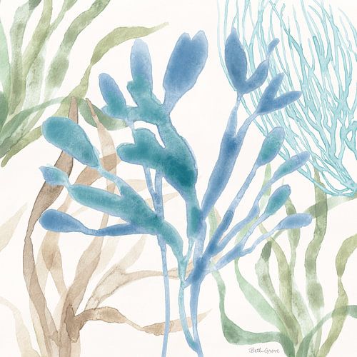 Soft Shores IX, Beth Grove by Wild Apple