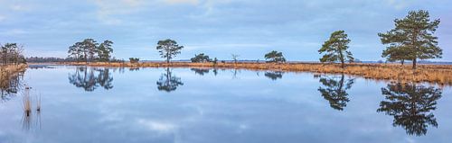 Panorama van een zonsopkomst in het Nationaal Park Dwingelderveld