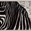 Zebra op Afrikaanse landkaart van Studio Malabar