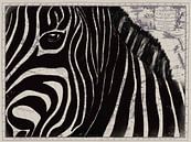 Zebra op Afrikaanse landkaart van Studio Malabar thumbnail