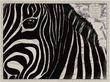 Zebra auf afrikanischer Karte von Studio Malabar