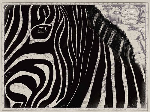 Zebra op Afrikaanse landkaart