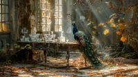 Peacock in sunlight