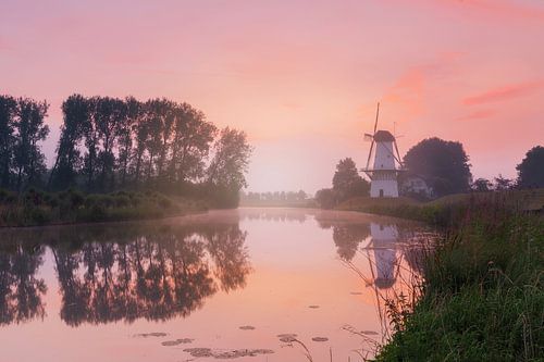Windmill the Vlinder